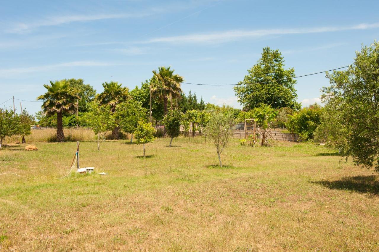 Olives Estate Apartments Grande プレベザ エクステリア 写真