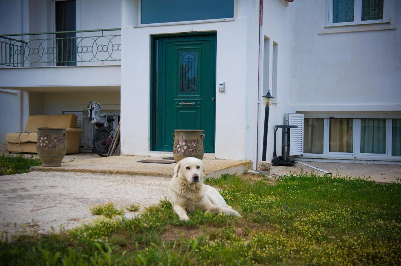 Olives Estate Apartments Grande プレベザ エクステリア 写真